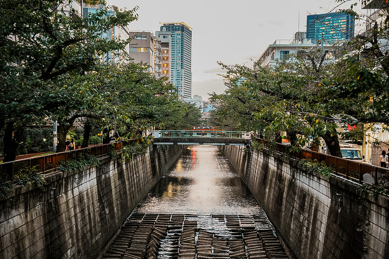 2024 東京之旅 with Sony A7 IV & Sigma 24-70mm f/2.8 DG DN II Art