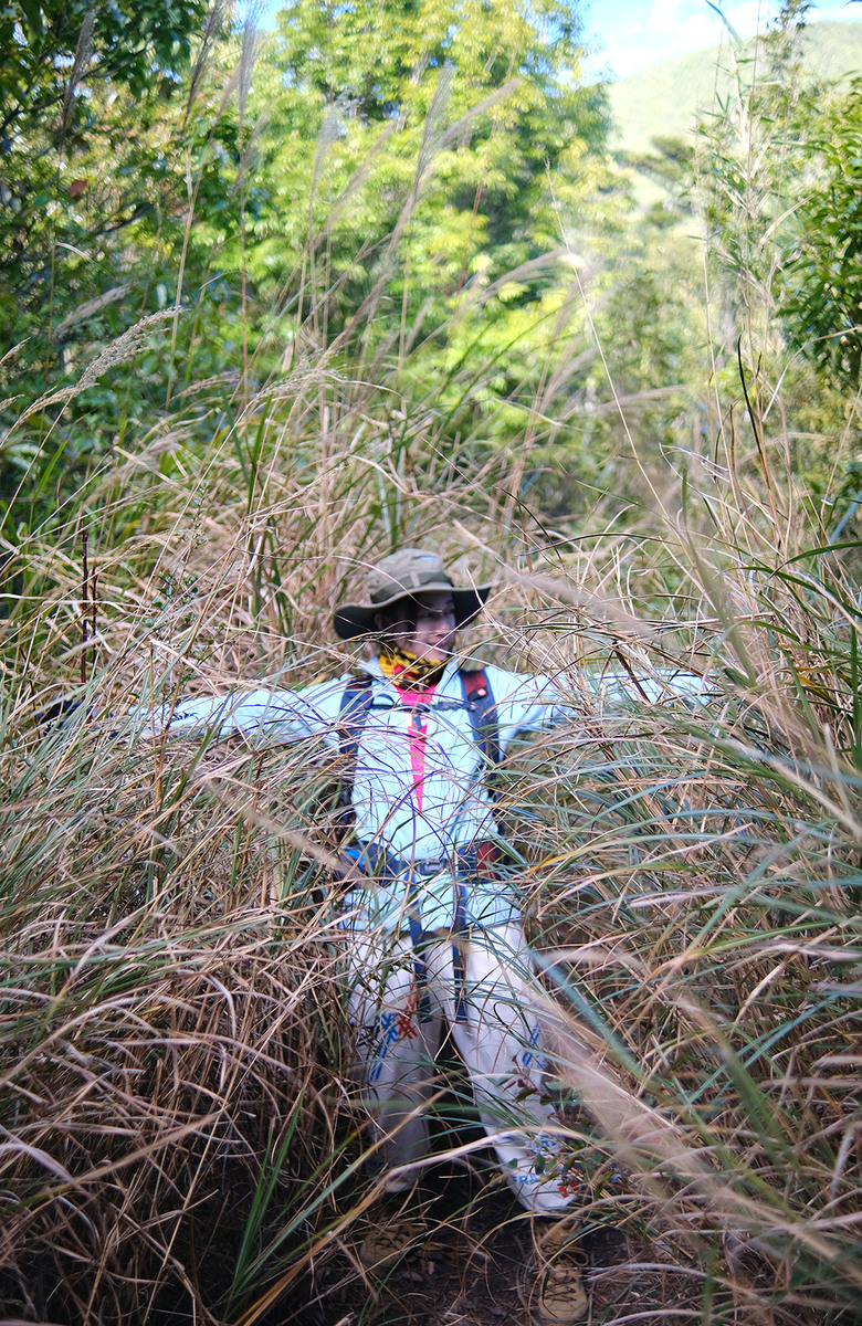 【羅馬縱走】台灣最美的一日縱走路線 | 童話森林與羅馬神木