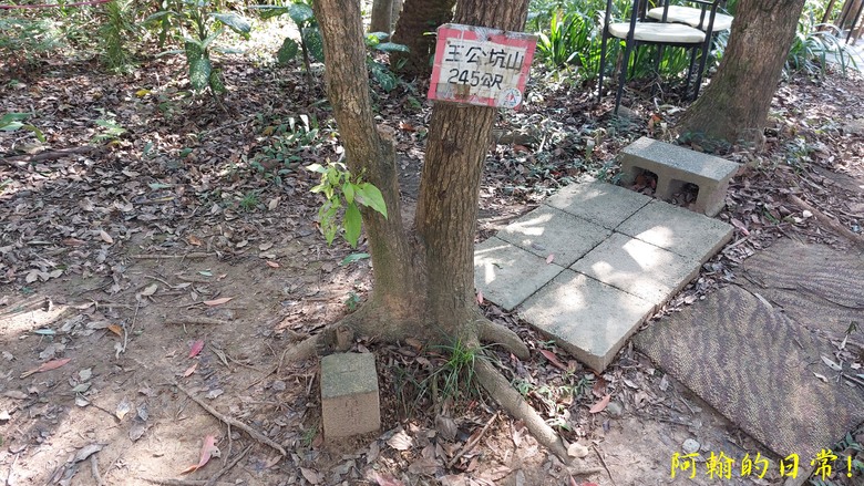 【桃園郊山】桃園的知名後花園 虎頭山公園｜桃園神社｜尋 曾經的小百岳 - 虎頭山三角點