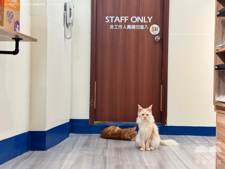 高雄梓官｜嘎逼&牛奶互動園區＿近距離與水豚、狐獴互動親子景點