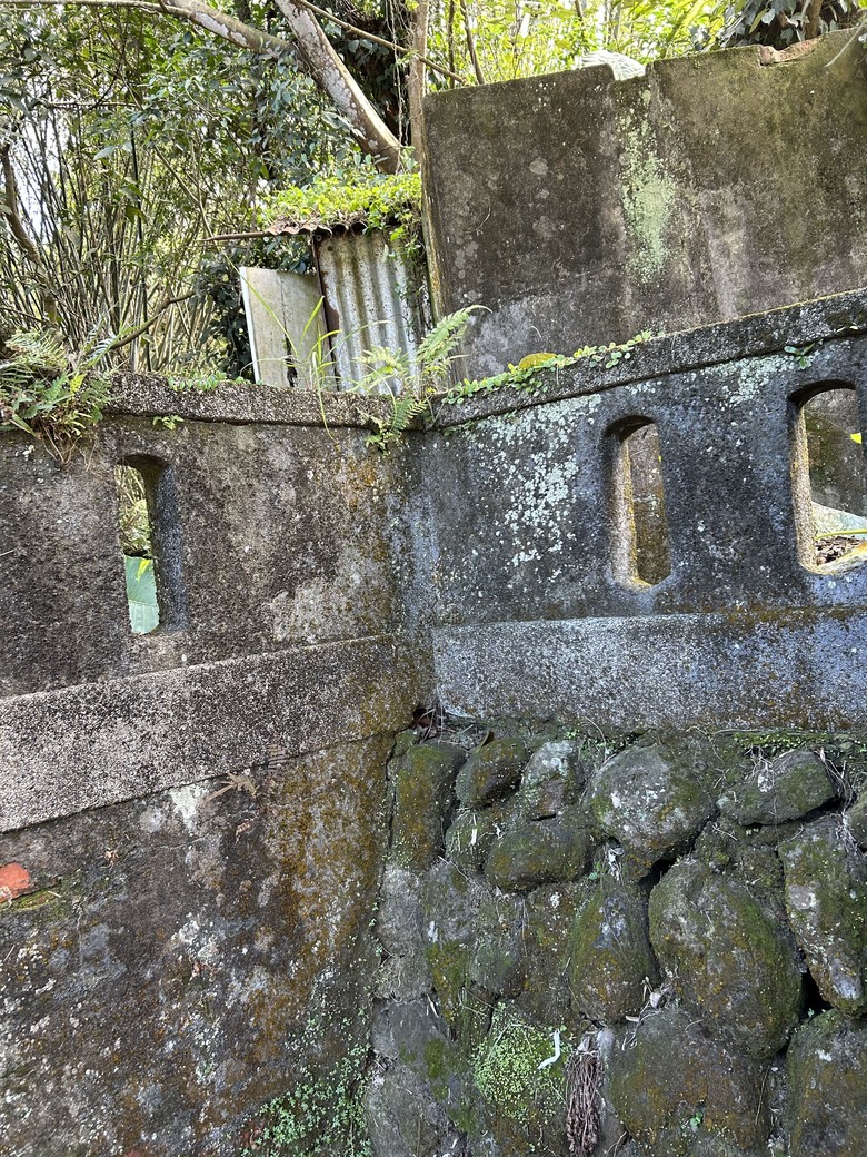 1/29 冷水坑古道、復興媒礦事務所及文筆山，Element 輕旅行