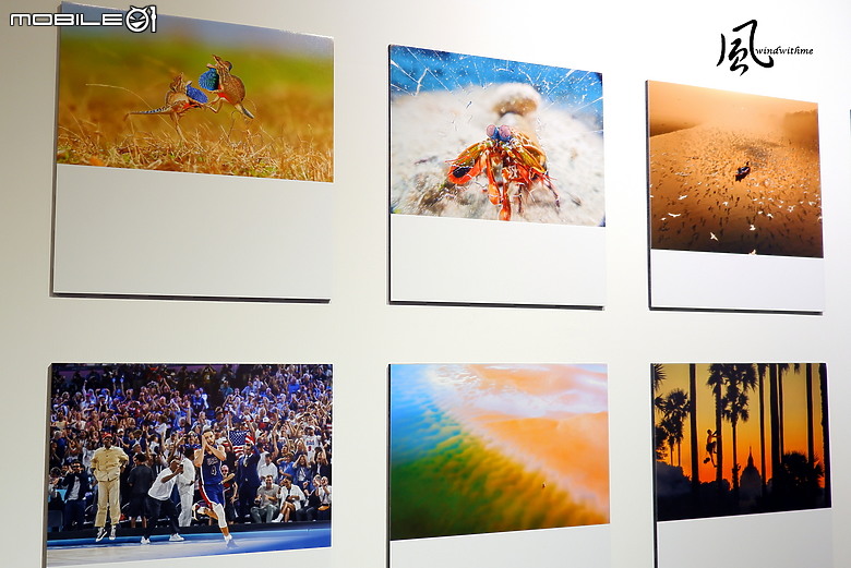 點我看大圖 ViewSonic 5th ColorPro Awards「Momentum躍動」國際視覺藝術暨攝影展體驗分享