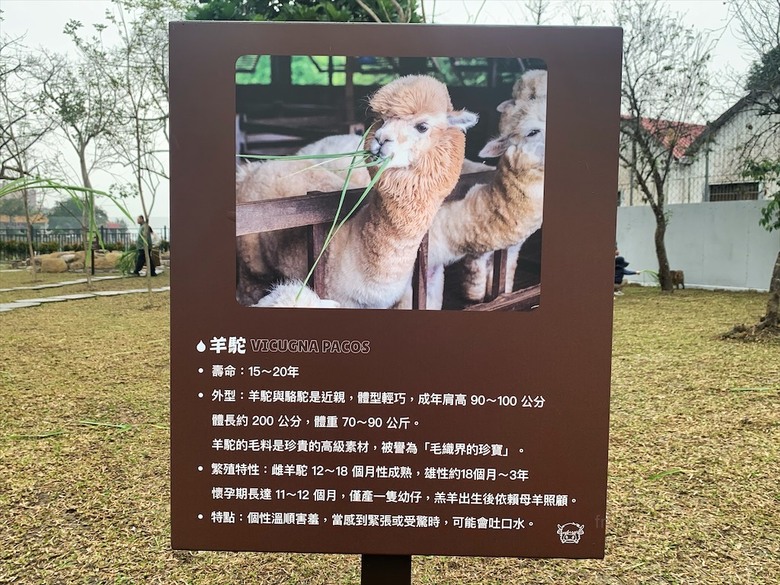 點我看大圖 許多可愛的超萌小動物,有超人氣的水豚君、笑笑羊,可以零距離和牠們互動