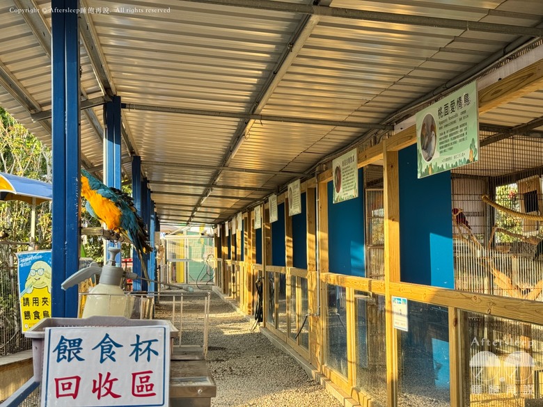 高雄梓官｜嘎逼&牛奶互動園區＿近距離與水豚、狐獴互動親子景點