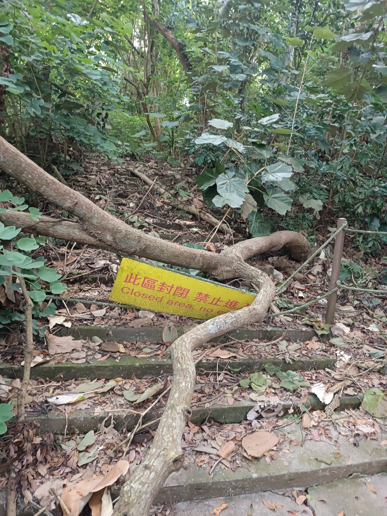 【小惡魔畫蛇添福】田中森林公園登山步道健行趣