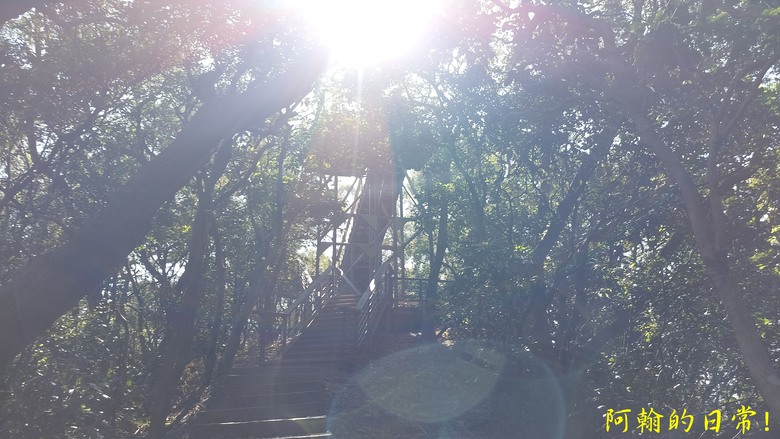【桃園郊山】桃園的知名後花園 虎頭山公園｜桃園神社｜尋 曾經的小百岳 - 虎頭山三角點