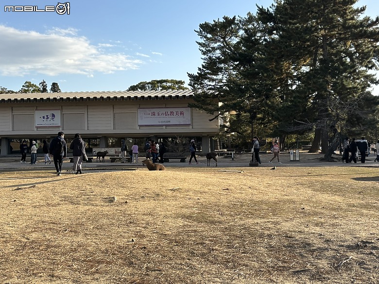 上集｜用旅行編織愛的記憶：一趟陪伴媽媽與孩子的日本之旅(Day1-奈良與京都篇)