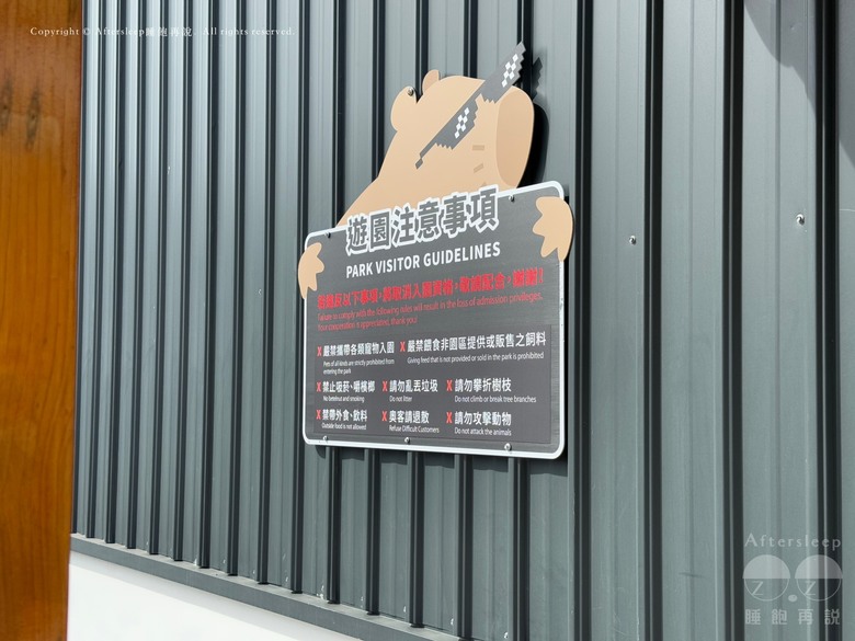 屏東恆春｜墾丁鹿ㄦ島水豚生態園區 Paradise of capybara ＿近距離看到水豚還可以一起游泳／親子放電的療癒好地方