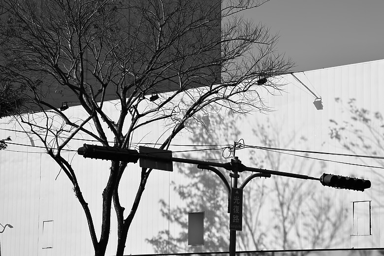 點我看大圖 Canon RF 70-200mm f/2.8L IS USM Z 評測報告|全能望遠變焦神鏡、7.5 級防手震超有感!