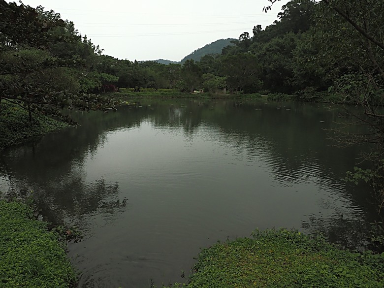 忠貞新村文化園區、異域故事館、太武新村眷村文化園區、中原文創園區、中庄吊橋與大漢溪山豬湖生態親水園區,吃吃喝喝之阿嬌米干與久留米日式咖哩 — 寒流來襲之中壢大溪一日遊