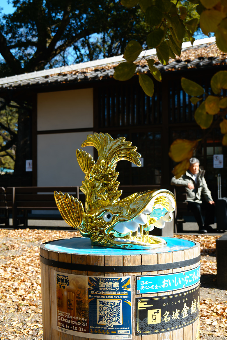 點我看大圖 帶著sigma fp 探訪 名古屋 2024