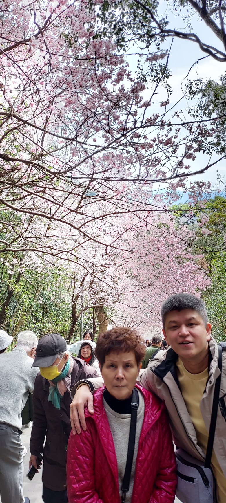 碧山巖花花之旅