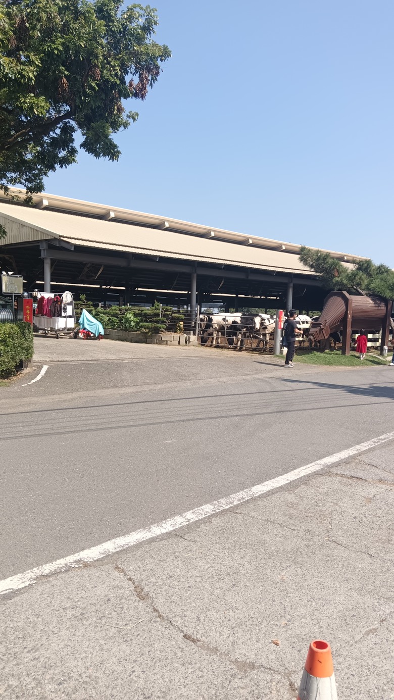 139路線單車外賣