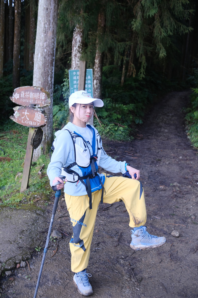【鵝公髻山】林相絕美的新竹縣小百岳 | 山上人家農場第三登山口起登