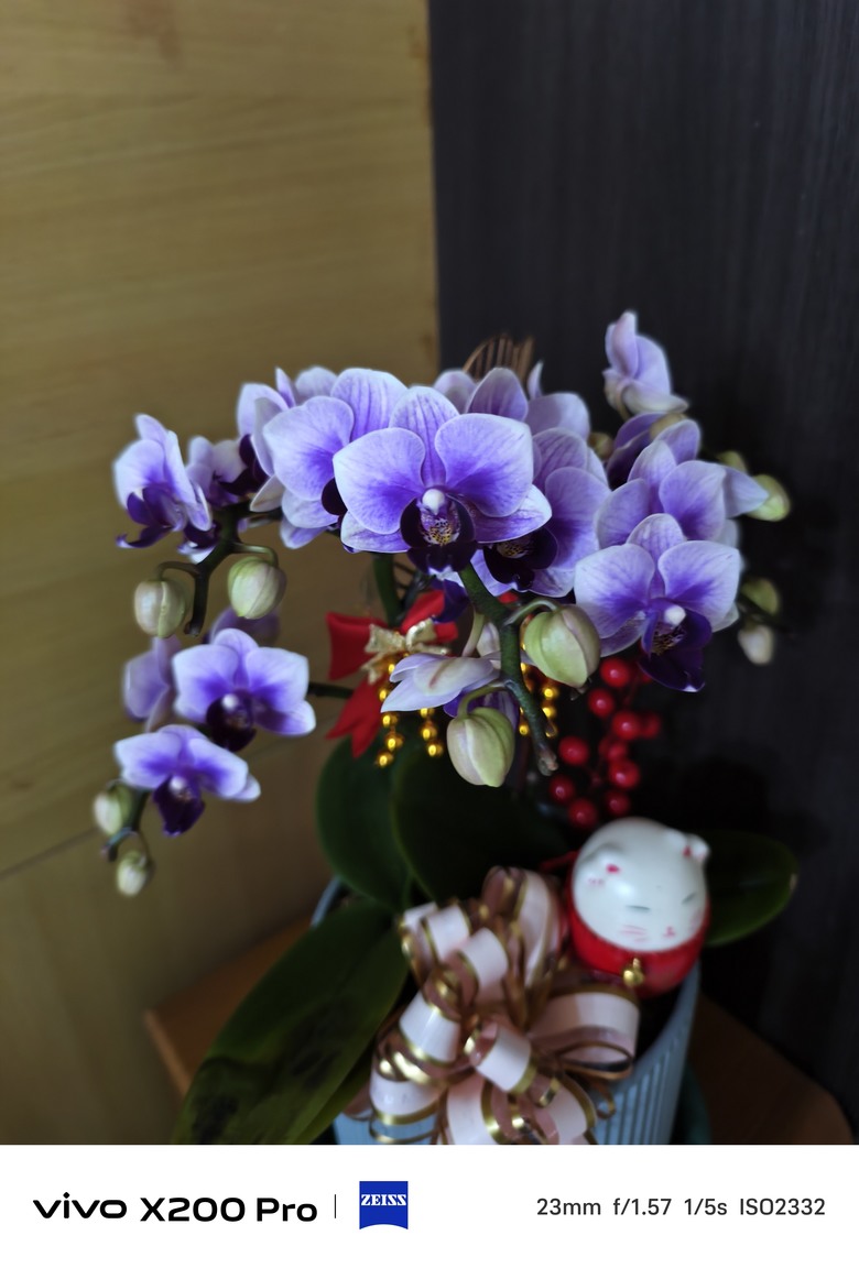 vivo X200 Pro 評測：影像與性能的雙重飛躍