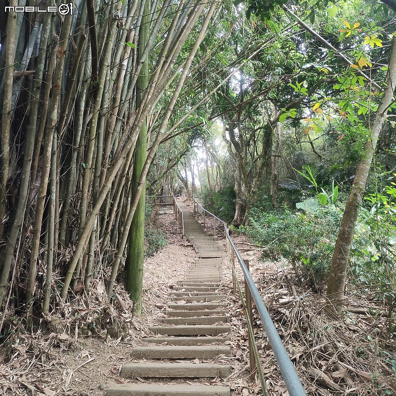 三崁頂健康步道，當地人的秘密後花園，練腿力的好地方