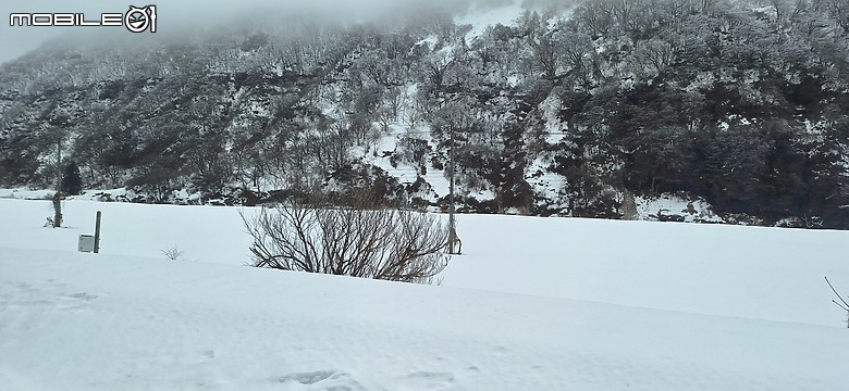 點我看大圖 【日本山形行】【小惡魔畫蛇添福】