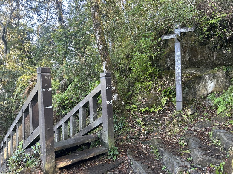 頂湖大凍山國家森林步道健行