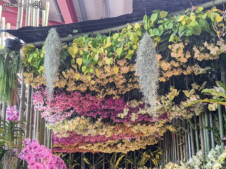 花在彰化 彰化縣溪州鄉中央路三段138號 02/01