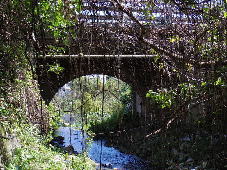2/1 劉銘傳鐵路，1907年大坑溪橋及大同山主峰，Element city tour