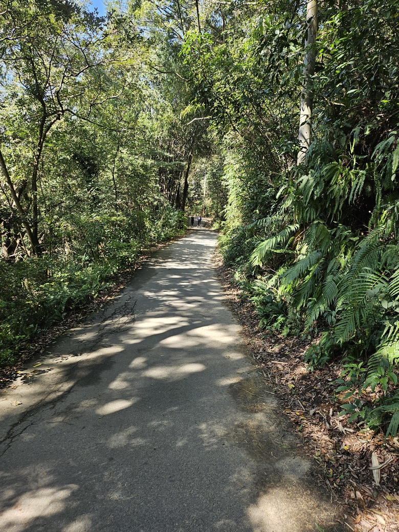 桃園市後花園半日遊 - 春天農場午餐 + 虎頭山健行步道