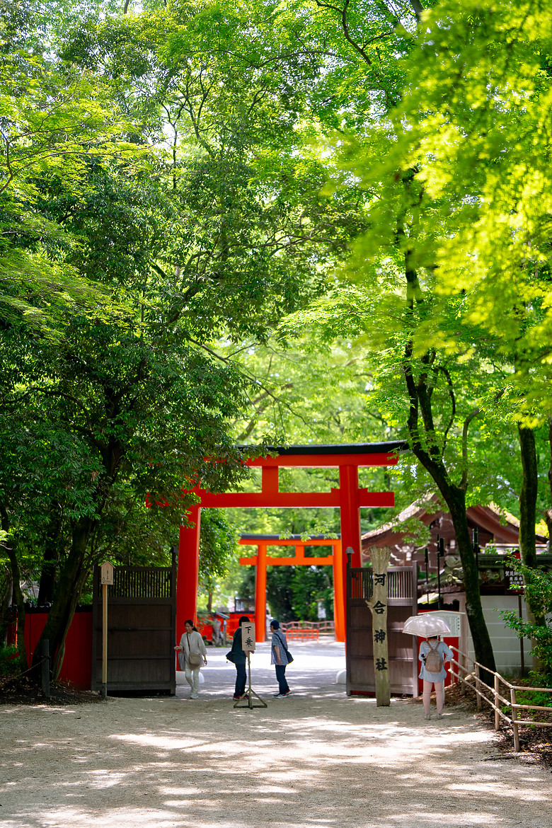 【關西】獨旅，京都古城篇(二)