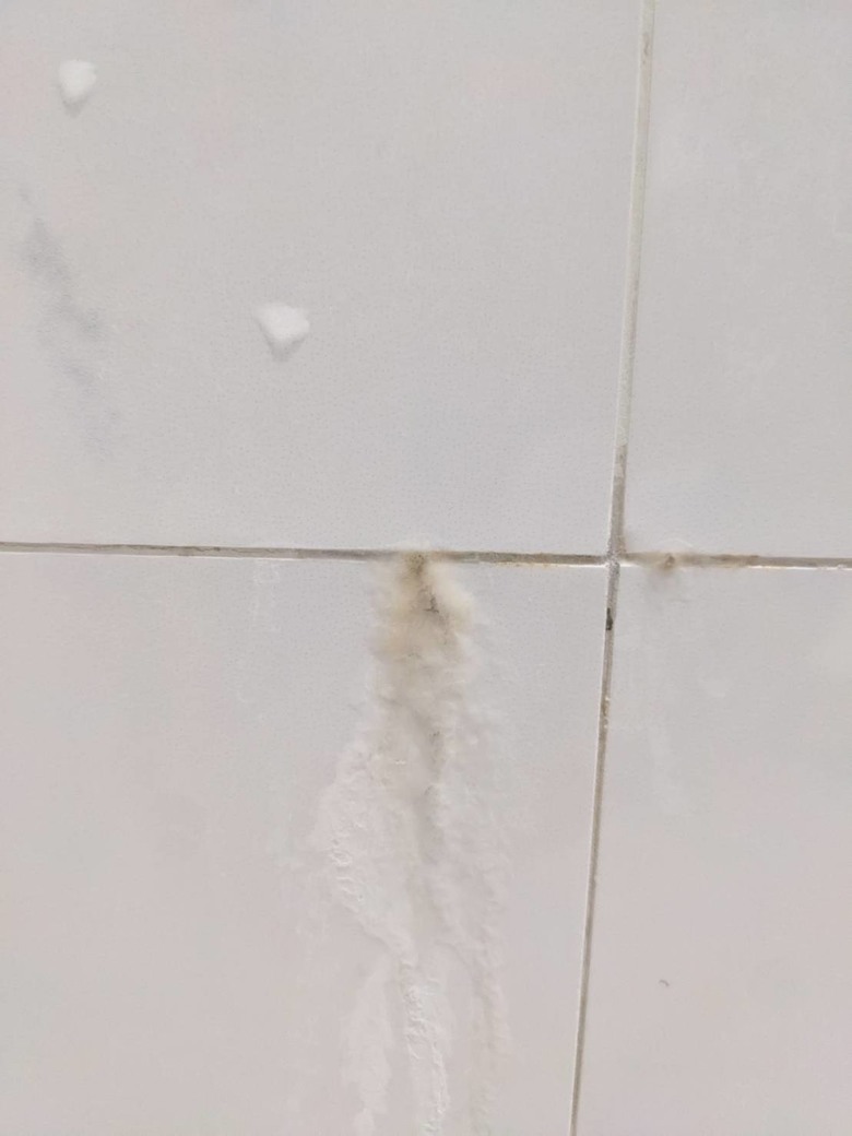 浴室磁磚不明滲出?