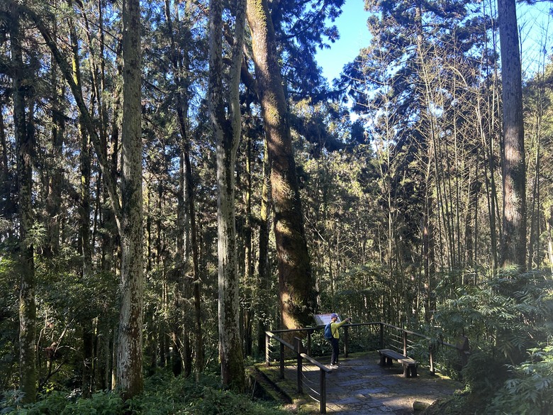 頂湖大凍山國家森林步道健行
