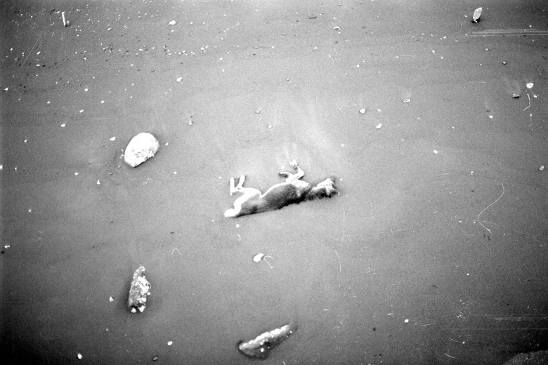 我的黑白底片之路