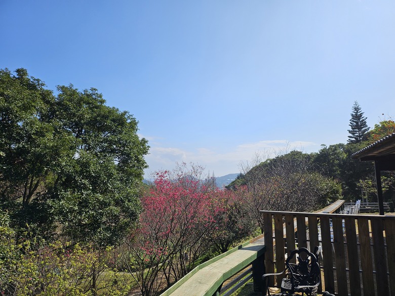 桃園市後花園半日遊 - 春天農場午餐 + 虎頭山健行步道