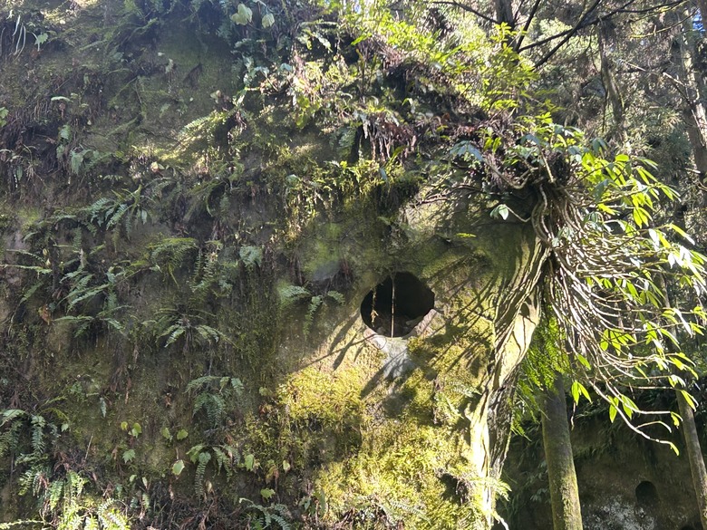 頂湖大凍山國家森林步道健行
