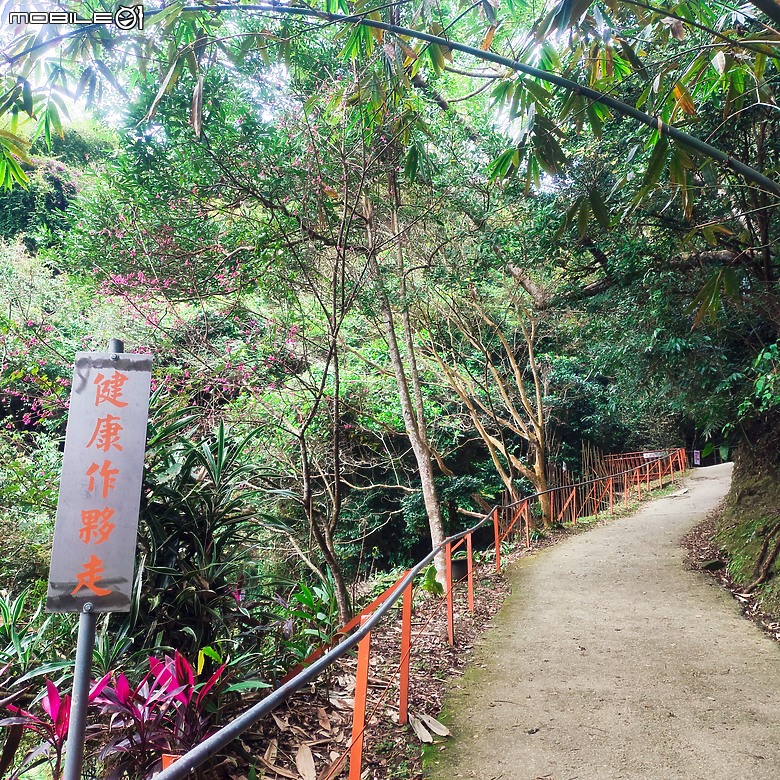 三崁頂健康步道，當地人的秘密後花園，練腿力的好地方