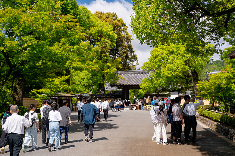 【關西】獨旅，京都古城篇(二)