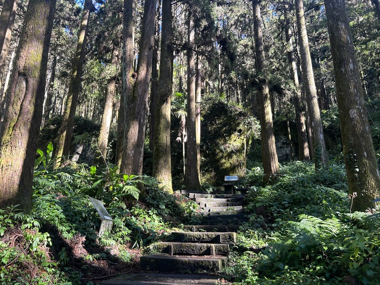 頂湖大凍山國家森林步道健行