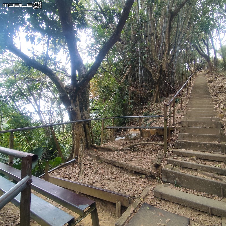 三崁頂健康步道，當地人的秘密後花園，練腿力的好地方