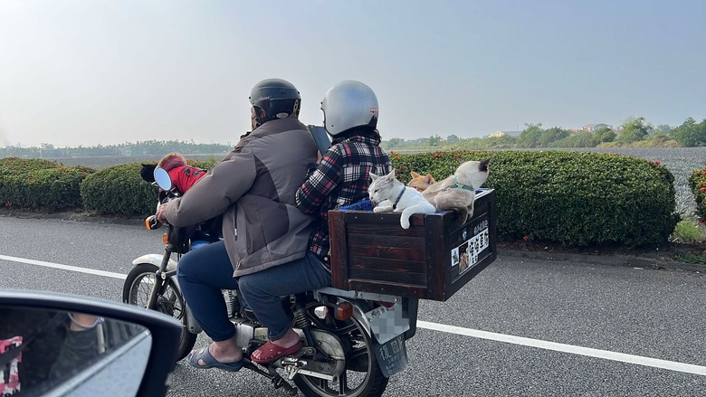 車城 落山風藝術季 【看海美術館展區、海口村街道及村落展區、墾丁長灘休閒飯店、紅柴。居 山海之隅】,順遊恆春縣城東門及北門、恆春文化中心民謠館,品嚐半島特色美食 — 香酥鴨、綠豆蒜 — 2025年初 國境之南看海賞藝小旅行 【小惡魔畫蛇添福】補篇(2)