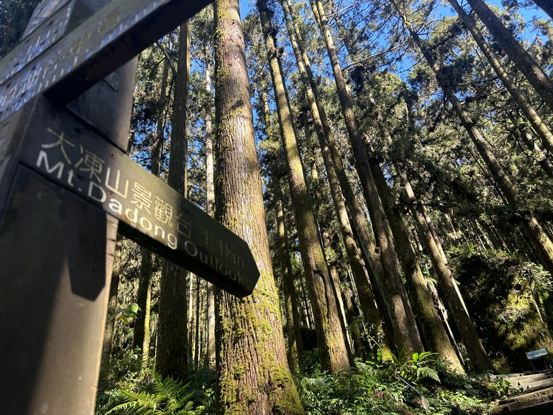 頂湖大凍山國家森林步道健行