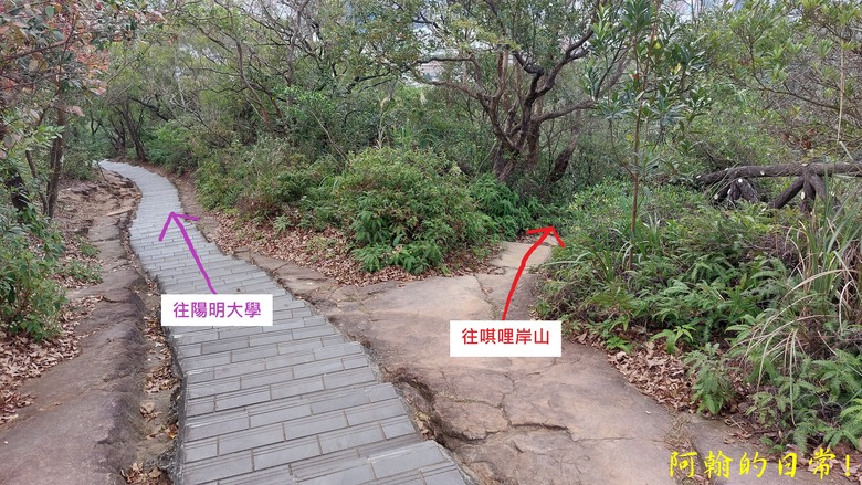 【郊山走走】 台湾よ、永に幸なれ。台灣幸福石、展翅高飛丹鳳山、熱門健行景點軍艦岩 輕鬆健行北投10連峰