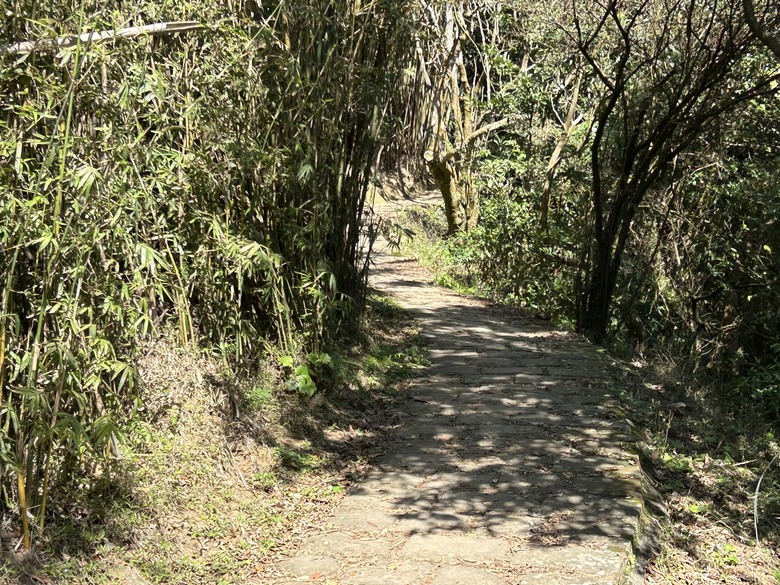 2024/2/14 狗殷勤古道、鵝尾山、紅色浮萍輕旅行