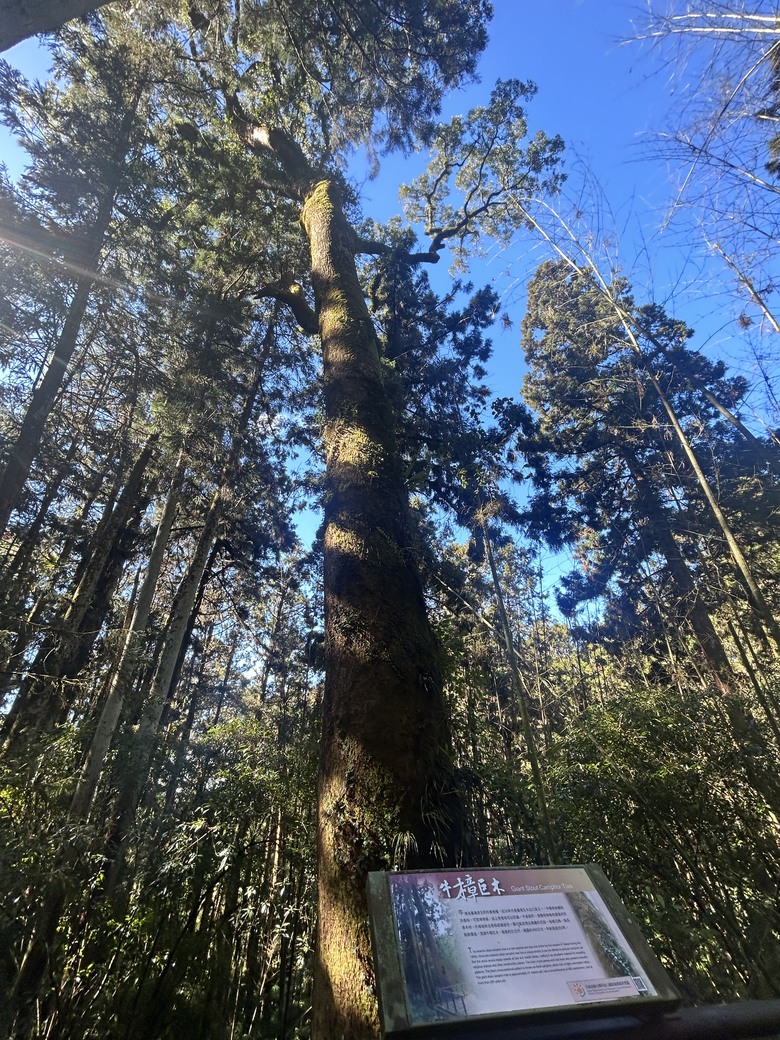 頂湖大凍山國家森林步道健行