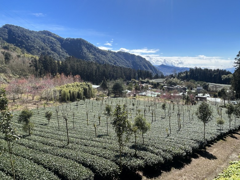 頂湖大凍山國家森林步道健行