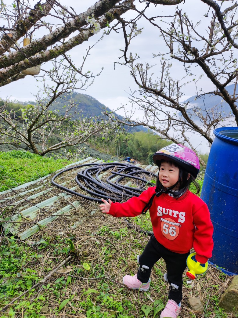 2025年,嘉義,小小孩的騎旅,梅山36灣挑戰賽^_^