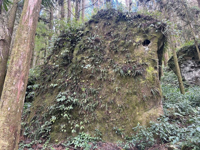 頂湖大凍山國家森林步道健行