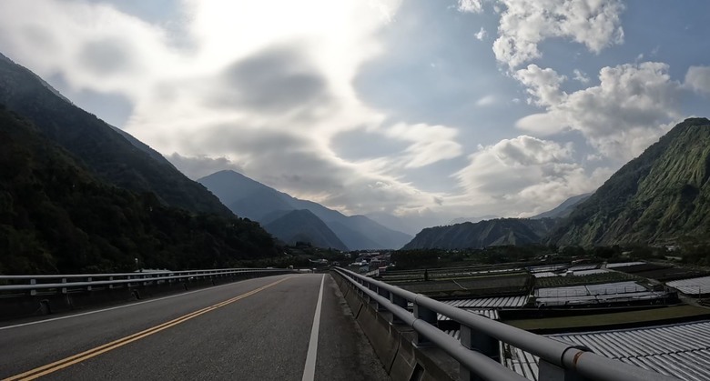 草坪頭賞櫻花賞李花,2月5日花況分享