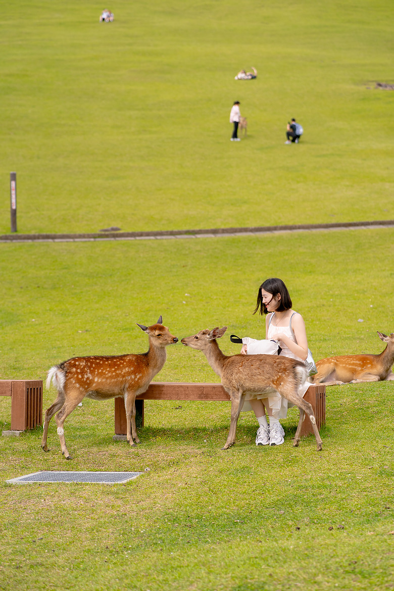 【關西】獨旅，奈良篇