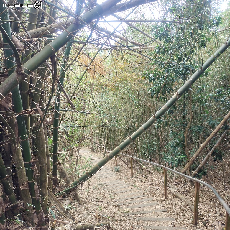 三崁頂健康步道，當地人的秘密後花園，練腿力的好地方