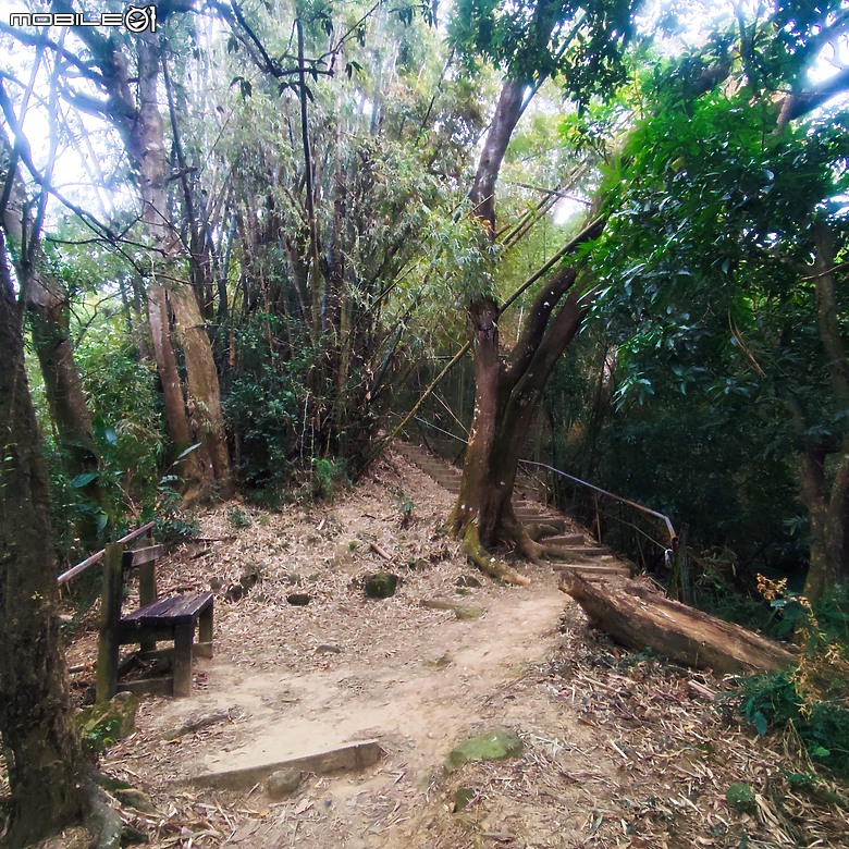 三崁頂健康步道，當地人的秘密後花園，練腿力的好地方