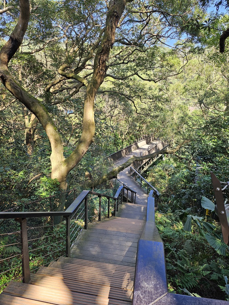 桃園市後花園半日遊 - 春天農場午餐 + 虎頭山健行步道