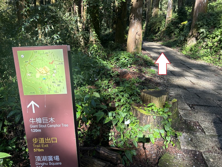頂湖大凍山國家森林步道健行