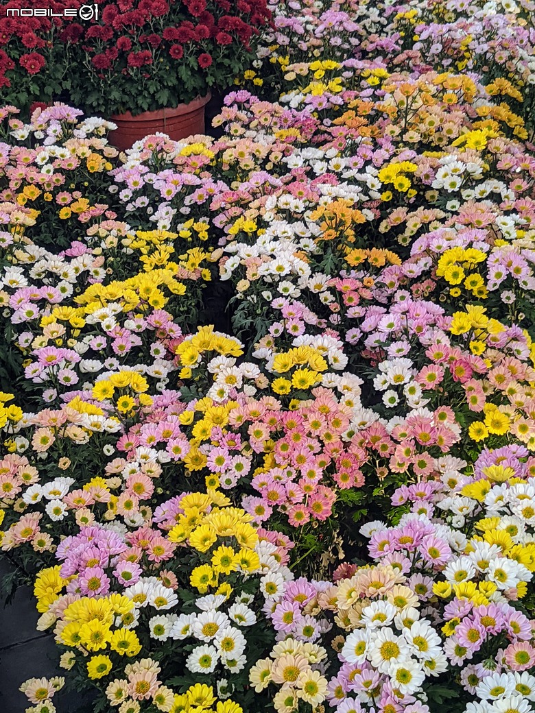 花在彰化 彰化縣溪州鄉中央路三段138號 02/01